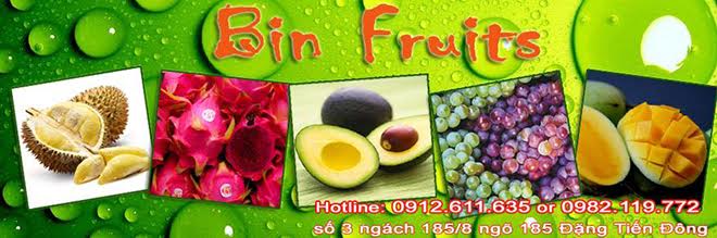 bin-fruits-1
