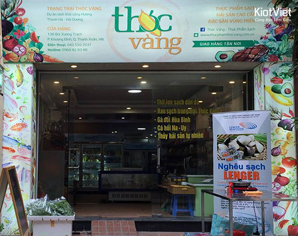logo-thoc-vang