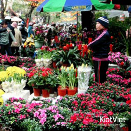 Tìm NGUỒN HÀNG kinh doanh hoa tươi dịp lễ Tết liệu có KHÓ?
