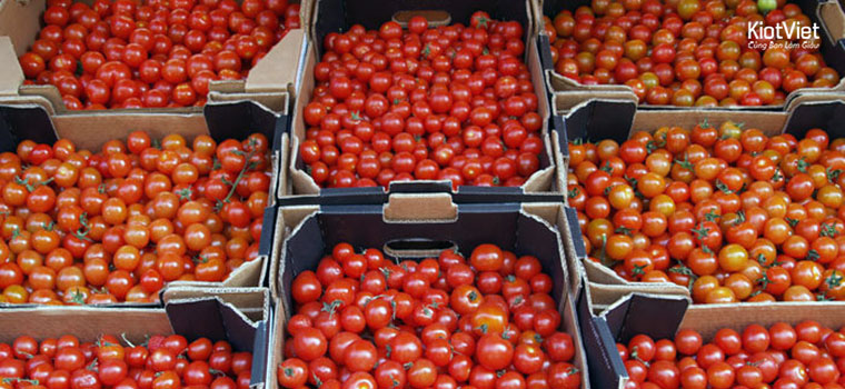 4 mẹo quản lý chất lượng hàng hóa nông sản thực phẩm bằng phần mềm