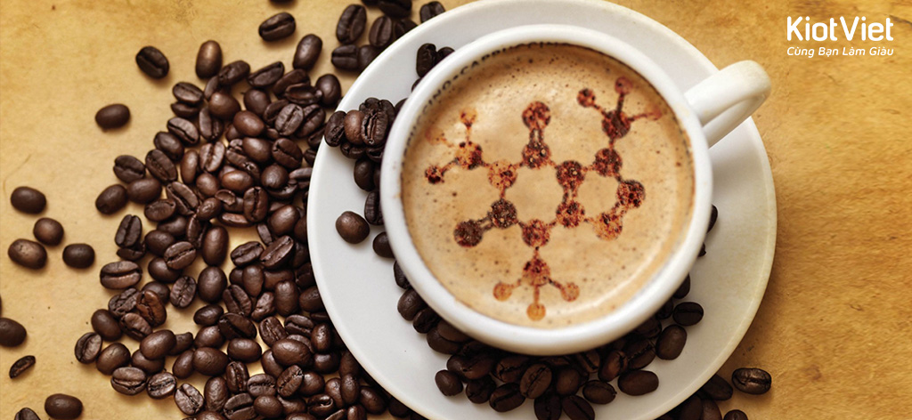 Các cách bảo quản cà phê chuẩn nhất cho chủ kinh doanh.