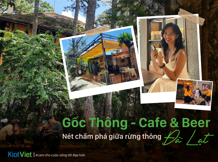Gốc Thông - Cafe & Beer - Nét chấm phá giữa rừng thông Đà Lạt