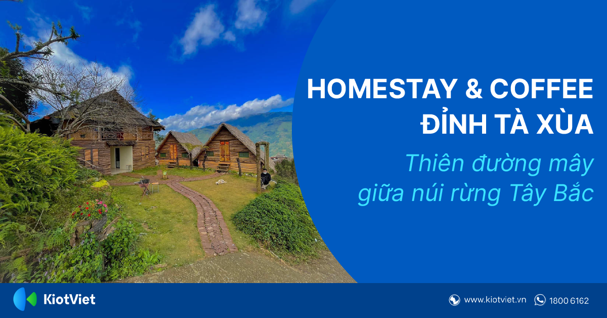 Homestay & Coffee Đỉnh Tà Xùa: Thiên đường mây giữa núi rừng Tây Bắc