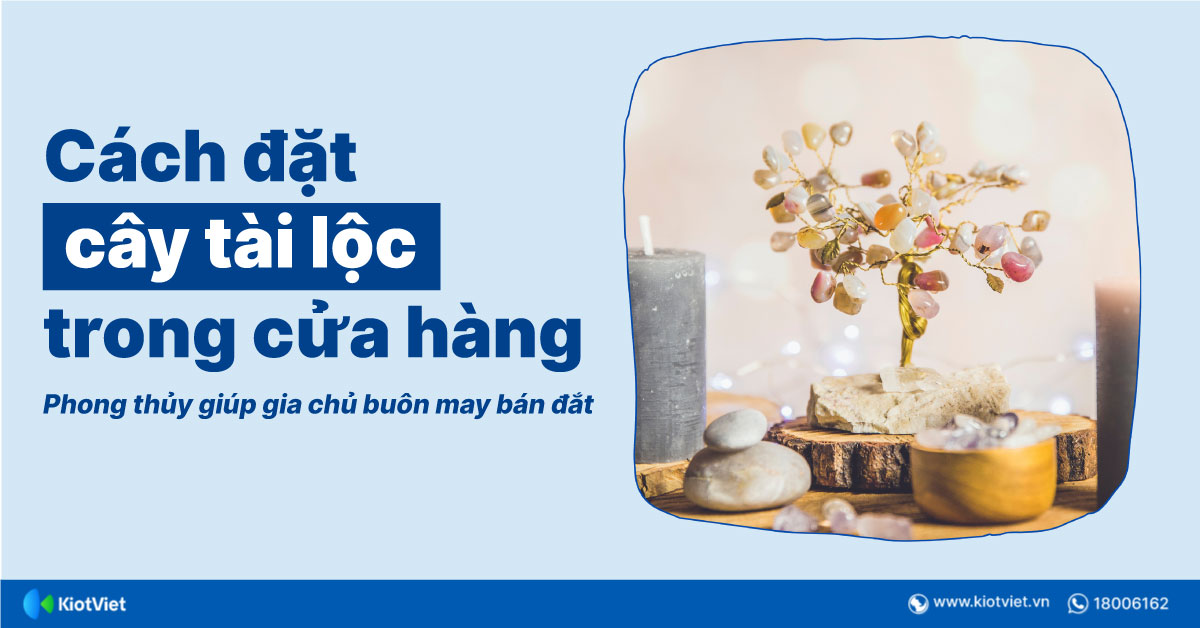 Cách đặt cây tài lộc trong cửa hàng để buôn bán đắt khách